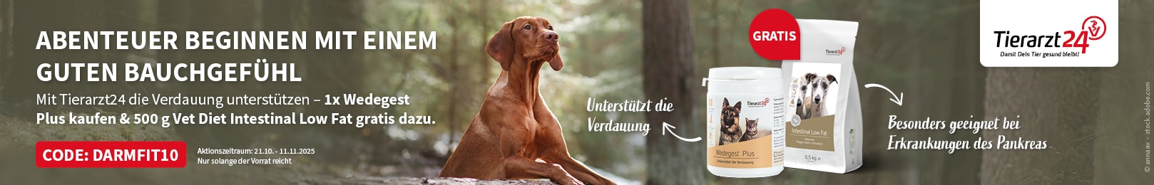 Tierarzt24 Wedegest Plus + Tierarzt24 Vet Diet Intestinal Low Fat 500 g